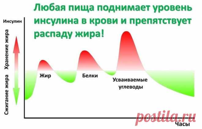 Инсулиновый индекс продуктов питания: полная таблица высоких и низких значений