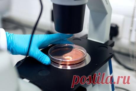 Созданы наночастицы для доставки генетического редактора в мозг. Специалисты Университета Висконсин-Мэдисон создали наночастицы для доставки генетического редактора CRISPR в мозг. Технология может применяться для точечной терапии болезни Альцгеймера или Паркинсона. В дальнейшем планируется протестировать эффективность нанокапсул в борьбе с другими болезнями мозга, глаз и печени.