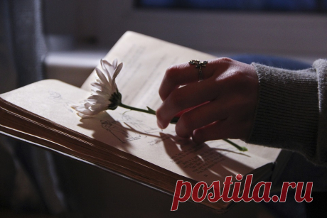 40 цитат, которые успокоят ваш разум, когда вы находитесь на распутье Это рано или поздно происходит с каждым из нас. Мы больше узнаём о том, кем мы есть и как устроена жизнь, и тогда мы понимаем, что нам нужно меняться. Образ жизни, который мы ведём, нас больше...