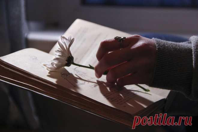 40 цитат, которые успокоят ваш разум, когда вы находитесь на распутье Это рано или поздно происходит с каждым из нас. Мы больше узнаём о том, кем мы есть и как устроена жизнь, и тогда мы понимаем, что нам нужно меняться. Образ жизни, который мы ведём, нас больше...