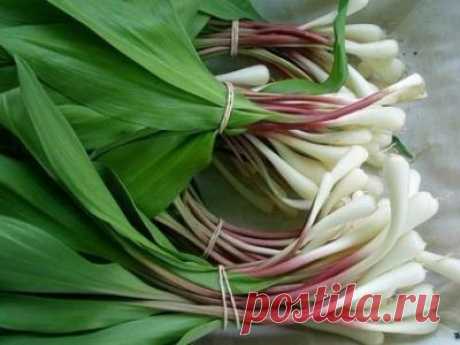 5 полезных сезонных продуктов марта!