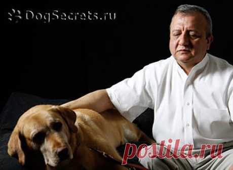 Группа: Клуб любителей собак