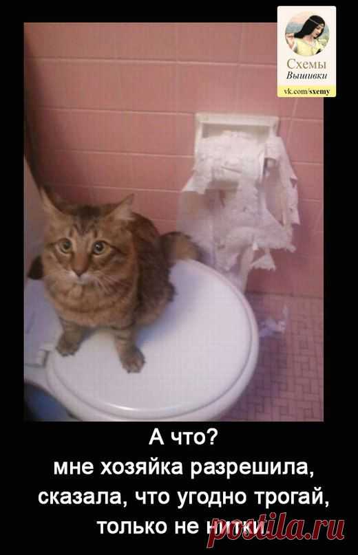 Стена
