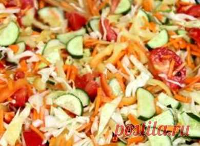 Капуста на зиму - DietDo.ru - 1