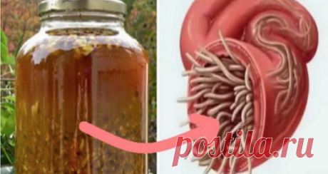 Приготовьте естественный антибиотик, который лечит любую инфекцию в теле и убивает паразитов Приготовьте этот естественный антибиотик и наслаждайтесь оптимальным здоровьем!