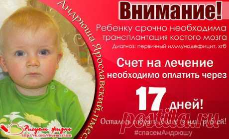 🆘 🆘 🆘 ВНИМАНИЕ!!! СРОЧНЫЙ СБОР!!! 🆘 🆘 🆘
Жмите ❤ мне нравится и ✔ рассказать друзьям!
АНДРЮША ЯРОСЛАВСКИЙ, 11 мес., Запорожская обл., Украина
Диагноз: первичный иммунодефицит, хроническая гранулематозная болезнь
💰 Сумма к сбору: 382 033 шв.франков (с учетом доп.расходов)
