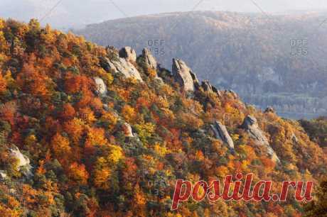 Падение на осень стоковые фотографии-OFFSET