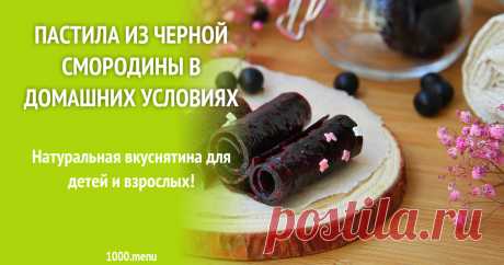 Пастила из черной смородины в домашних условиях рецепт с фото пошагово Натуральная вкуснятина для детей и взрослых!