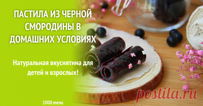 Пастила из черной смородины в домашних условиях рецепт с фото пошагово Натуральная вкуснятина для детей и взрослых!