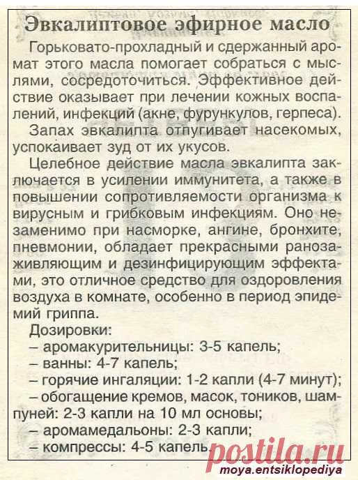 Эфирное масло эвкалипта