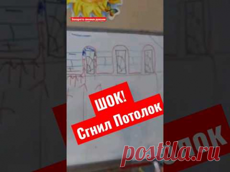 Гниют лаги потолка. Пароизоляция потолка #братьязахарята #максимзахаров #захарята