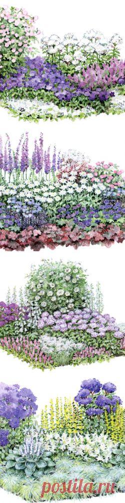 (+1) тема - Синий цветник | ОГОРОД БЕЗ ХЛОПОТ