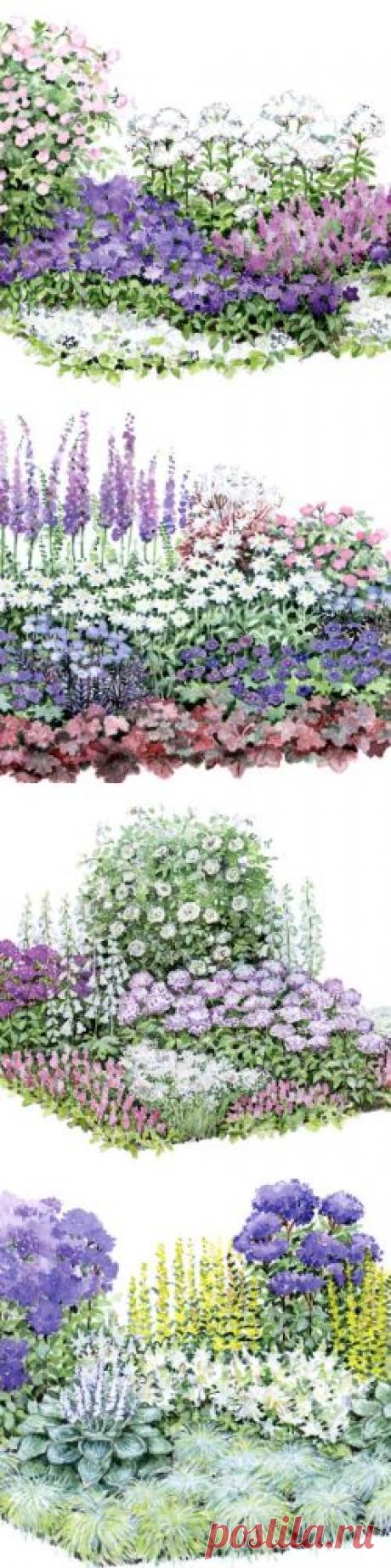 (+1) тема - Синий цветник | ОГОРОД БЕЗ ХЛОПОТ