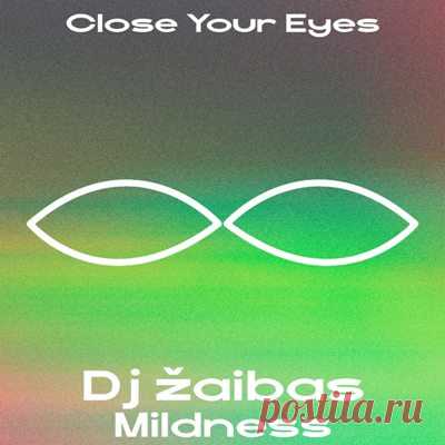 Dj žaibas – Mildness