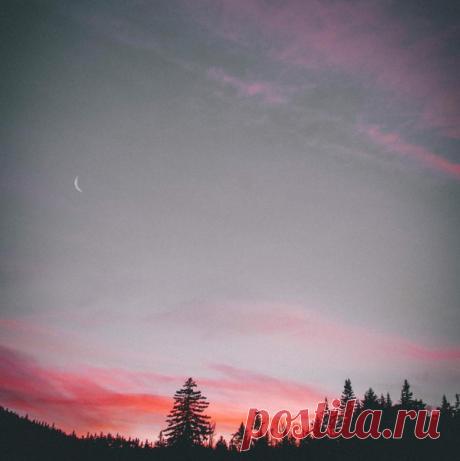 Я в твоей душе построил замок Из крупиц золотоносных жил Я к нему с закрытыми глазами Для себя дорогу проложил А когда осталось так не много Лишь войти в этот замок не спеша Вдруг,заминка вышла у порога Оказалась заперта Душа. В жизни тоже так,один построит Ну а жить вселяется другой.