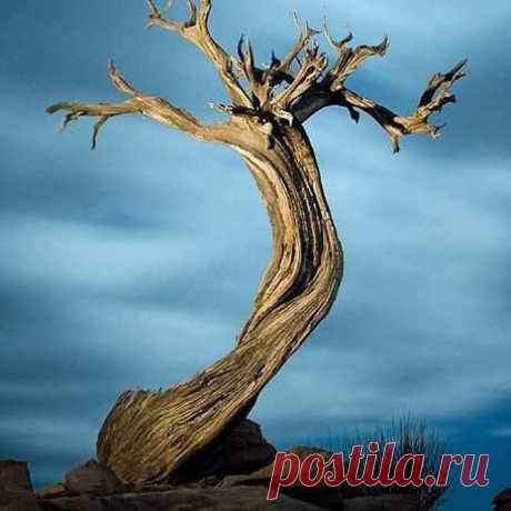 Нерукотворное...