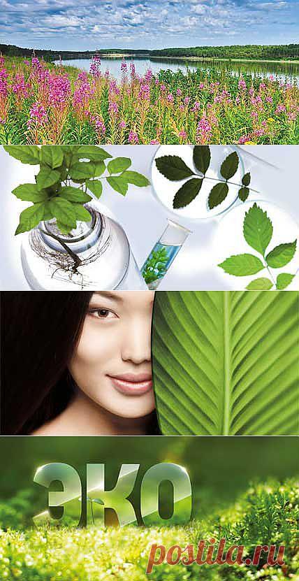 Корпорация Сибирское здоровье
«Сибирское здоровье» как современная Компания международного уровня закладывает новую веху в своем развитии, заботясь как о своих Партнерах и Клиентах, так и об окружающей среде. И сегодня мы смело заявляем о новой концепции создания продуктов для красоты – это философия ЭКОподхода. Наши специалисты открыли и создали новые ЗЕЛЕНЫЕ РЕЦЕПТУРЫ – формулы с максимальным содержанием компонентов натурального происхождения, не содержащие ряда химических компонентов.