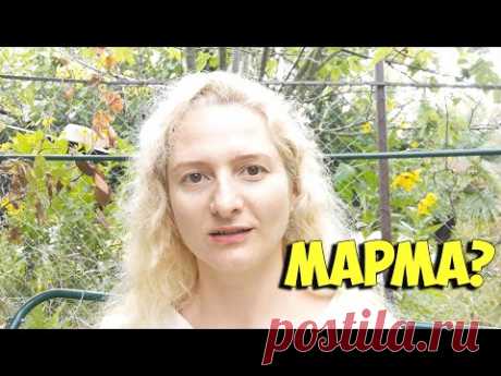 Что нужно знать про марма массаж перед тем, как на него пойти? - YouTube