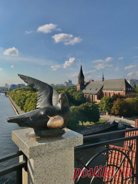 Птица счастья города K💕