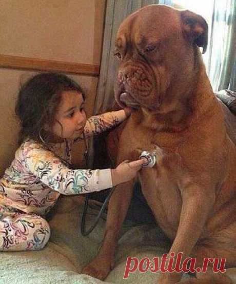 Одноклассники