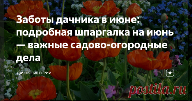 Заботы дачника в июне: подробная шпаргалка на июнь — важные садово-огородные дела Статья автора «Дачные истории» в Дзене ✍: Добрый день, дорогие друзья, садоводы и огородники! Приветствую вас в нашем сообществе 