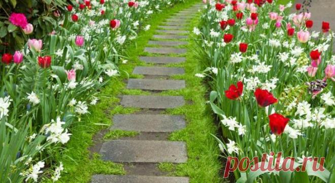 Оригинальные идеи садовых дорожек Понравился дизайн двора с геометрическими очертаниями. Интересна и дорожка из квадратных плит, засыпанных по края мелким гравием, и бамбуковый забор и сочетание дерева и камня…Зонируют двор соломенные...