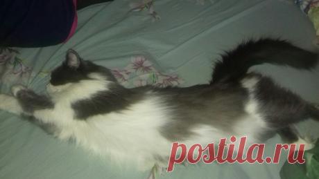 Спящая красавица