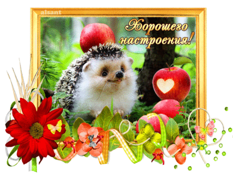 869155667.gif (Изображение GIF, 1024 × 768 пикселов)
