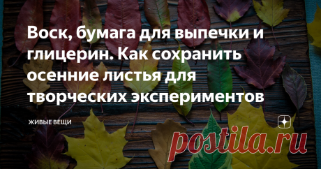 Воск, бумага для выпечки и глицерин. Как сохранить осенние листья для творческих экспериментов