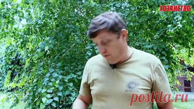 Сало в рассоле – такого вы еще не пробовали (готовит Олег Пахолков)