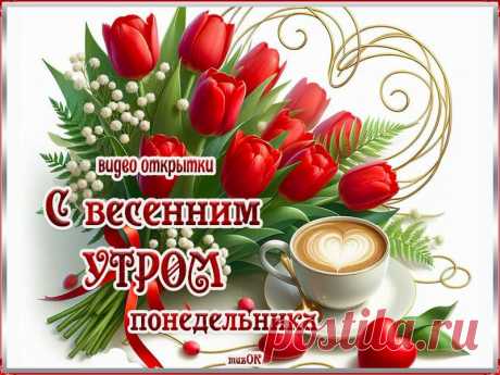 С весенним утром понедельника. Видео открытки * МУЗыкальный подарОК Скачать бесплатно красивые видео открытки с весенним утром понедельника. Понедельник на дворе. Утра доброго тебе.