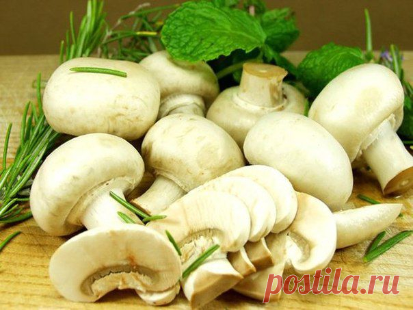 СЕНСАЦИЯ: ПОЛЬЗА ШАМПИНЬОНОВ ДЛЯ КОЖИ!!! | Красота спасает мир