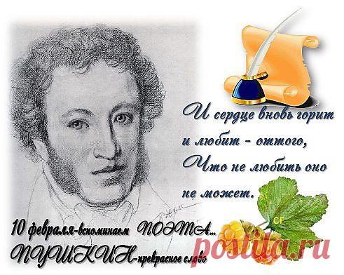 (71) Одноклассники