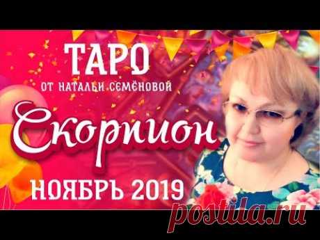 Скорпион таро прогноз на ноябрь 2019г