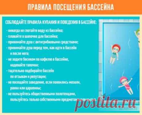 Как не заразиться при купании в бассейне » Notagram.ru