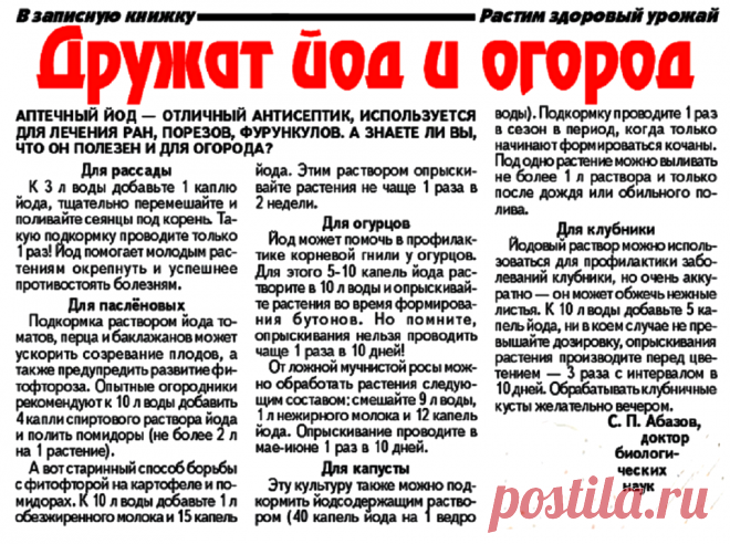 Дружат йод и огород