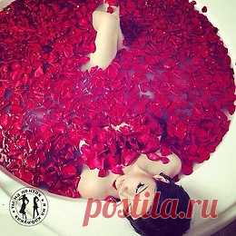 ЖИВУ, ЦВЕТУ и ХОРОШЕЮ! О том, что было — не жалею!
О том, что будет — не гадаю! А то, что есть — я обожаю!