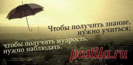 Правила мудрого человека.