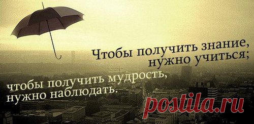 Правила мудрого человека.