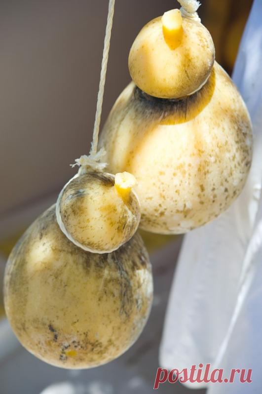 Классификация сыров / Classificazione dei formaggi | Элла Мартино Рецепты Кулинарные туры Итальянская кухня