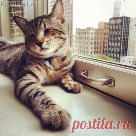 Живу и радуюсь