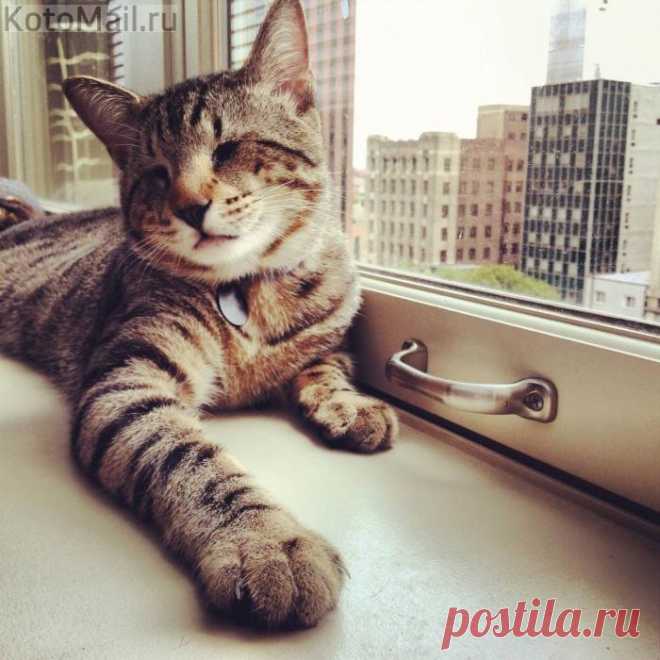 Живу и радуюсь