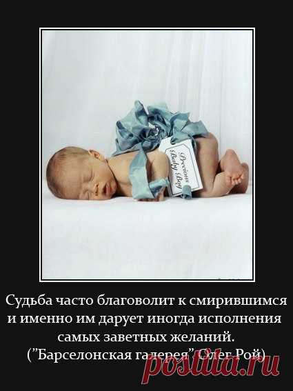 НЕРЖАВЕЮЩАЯ МУДРОСТЬ | 135 фотографий