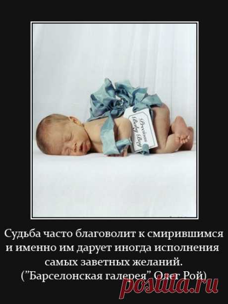 НЕРЖАВЕЮЩАЯ МУДРОСТЬ | 135 фотографий