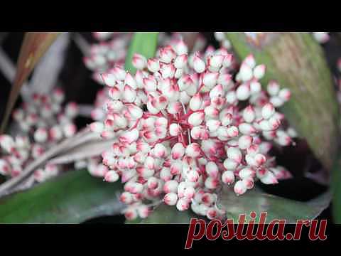 релакс - Самое интересное в блогах