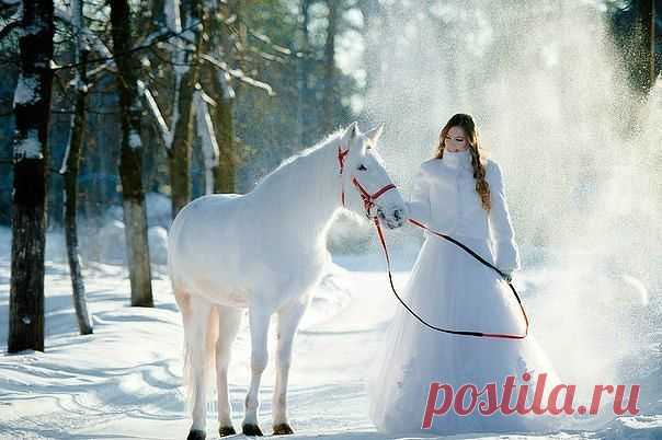 ღஜღLady Алёнаღஜღ
41 год, Россия, Оdnoklassniki. 26.ru