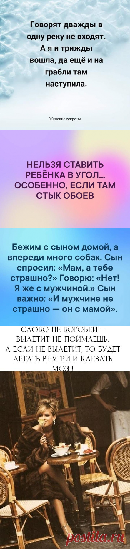 20 остроумных шуток, анекдотов и забавностей в картинках