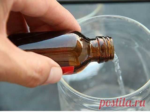 (6) Одноклассники