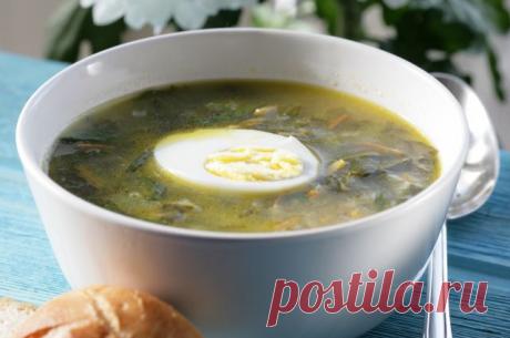 Для тех, кто любит покислее. 5 аппетитных блюд из щавеля | АиФ Кухня
Порадуйте близких вкусными кулинарными шедеврами из свежей зелени. Это поможет восполнить запас витаминов, которых нам так не хватает весной. Тем, кто любит покислее, предлагаем пять аппетитных блюд из щавеля &gt;&gt;&gt;