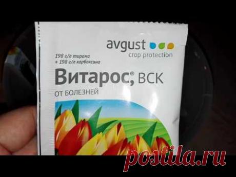 Химия для Орхидей (Витарос,Экогель, Экопин, Хелат меди)....